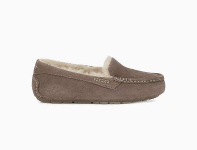 UGG Ansley Womens Slippers Slate/ Brown - AU 571CD